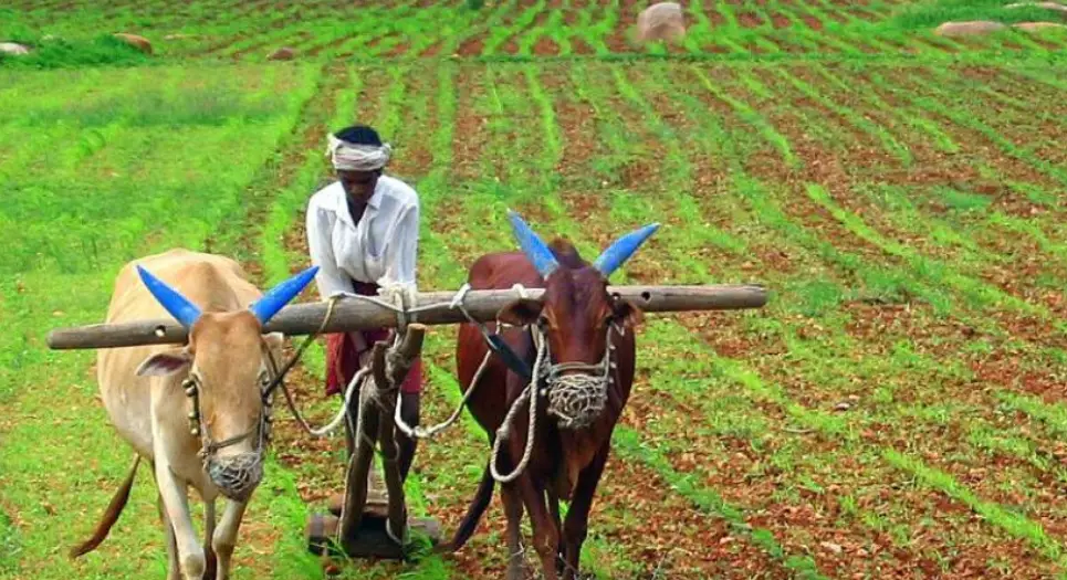 Is-Indian-Agriculture-Truly-the-Backbone-of-the-Nation