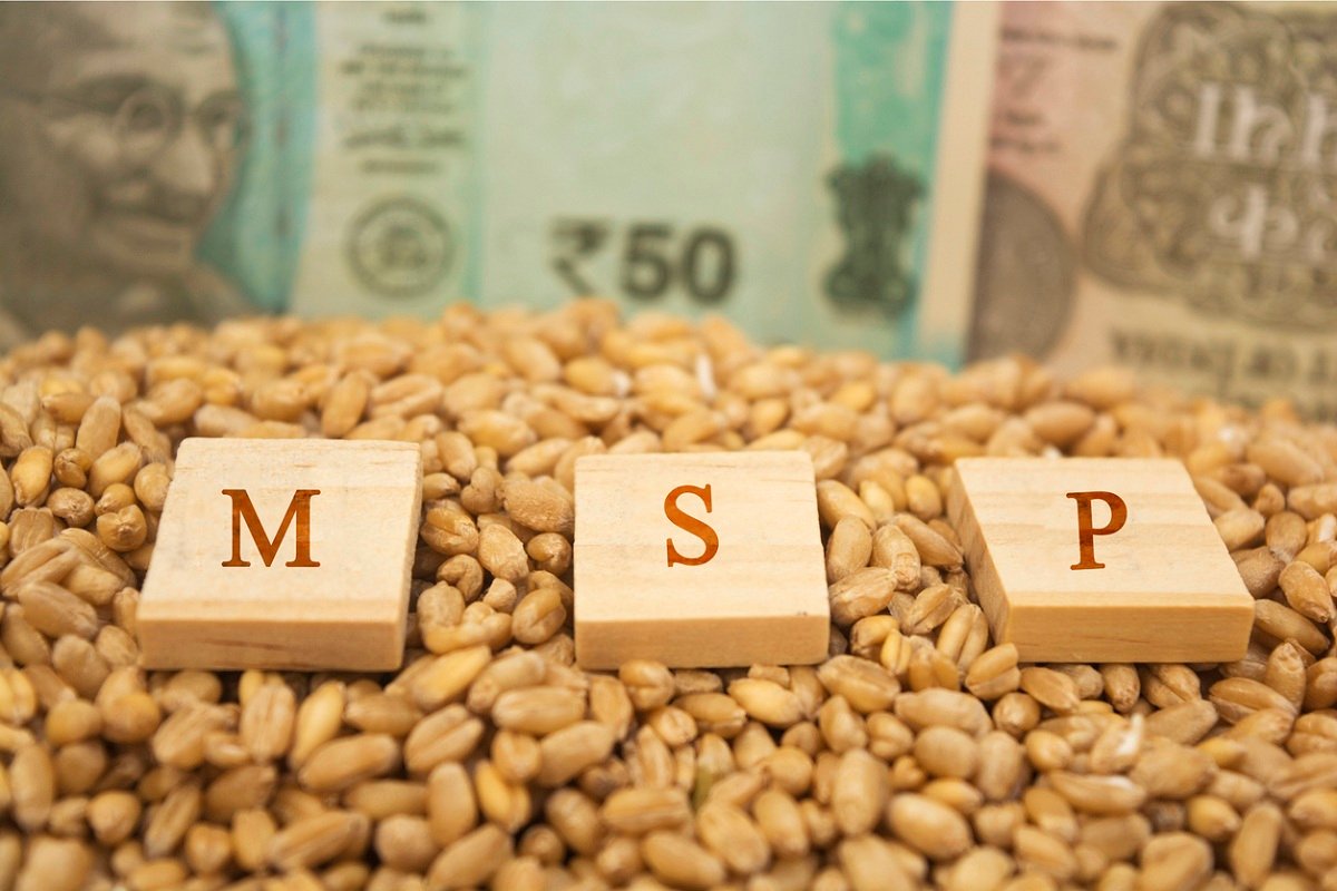 Is Minimum Support Price (MSP) Beneficial to Farmers or Not