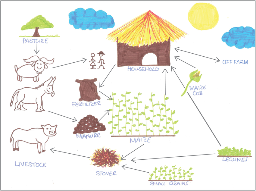 Mixed-Farming-A-Diverse-Approach-to-Agriculture