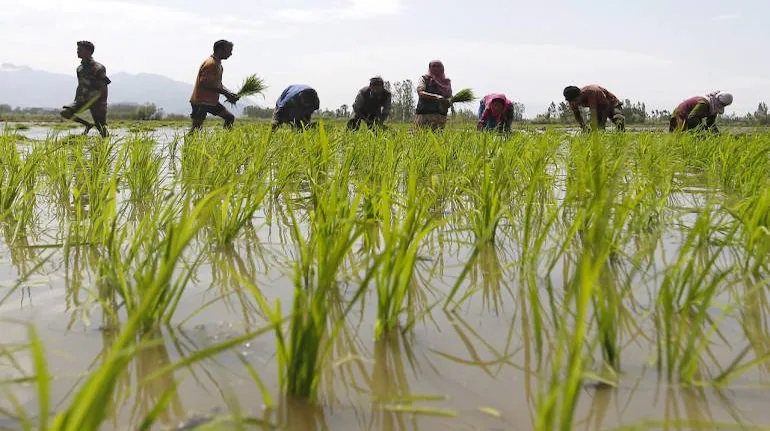 The Present Status of Extension Workers in the Transfer of Agricultural Technology to Farmers