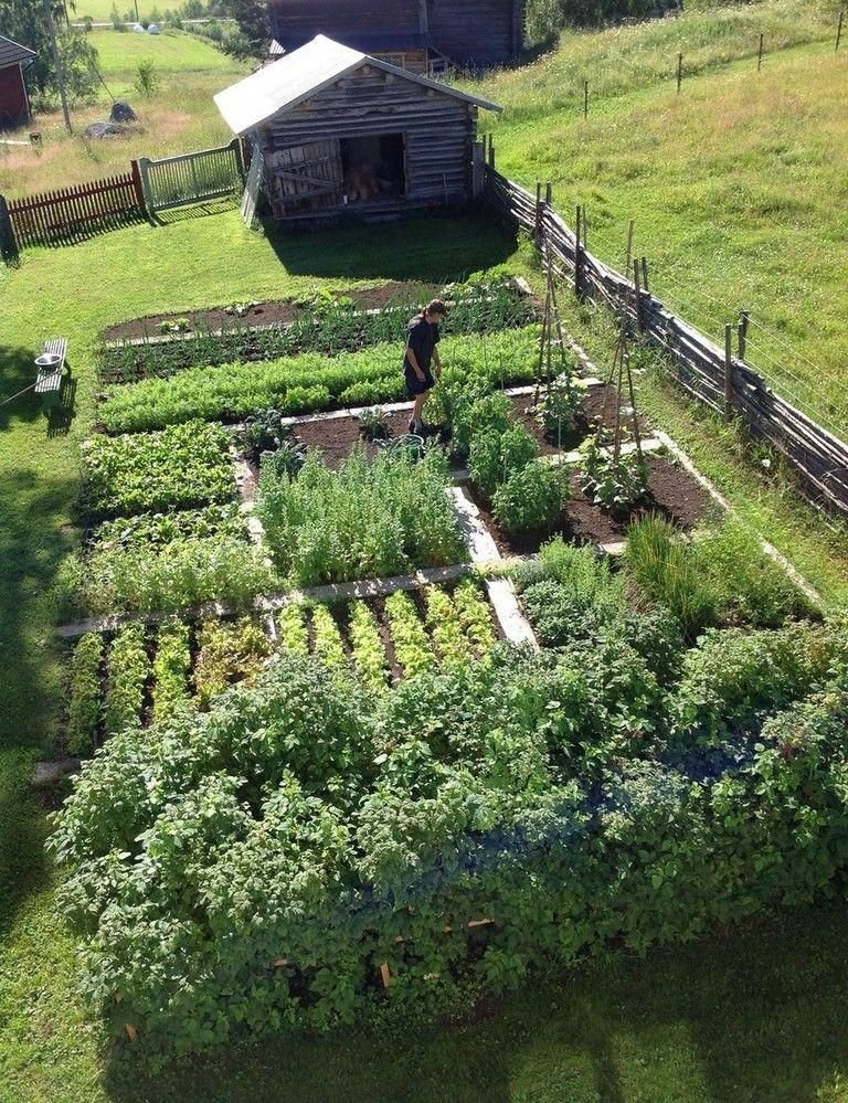 Discover the Joy of Backyard Farming: