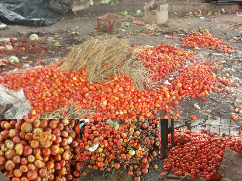 post-harvest-losses-in-india